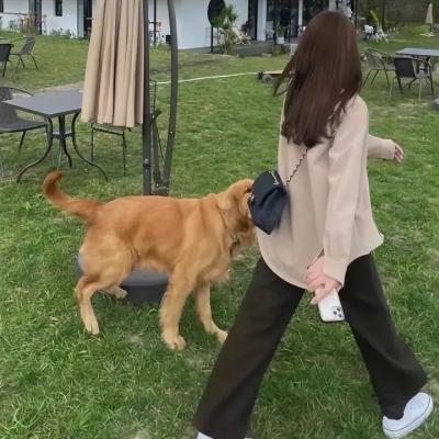 亲爱的医生